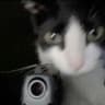 qq's avatar